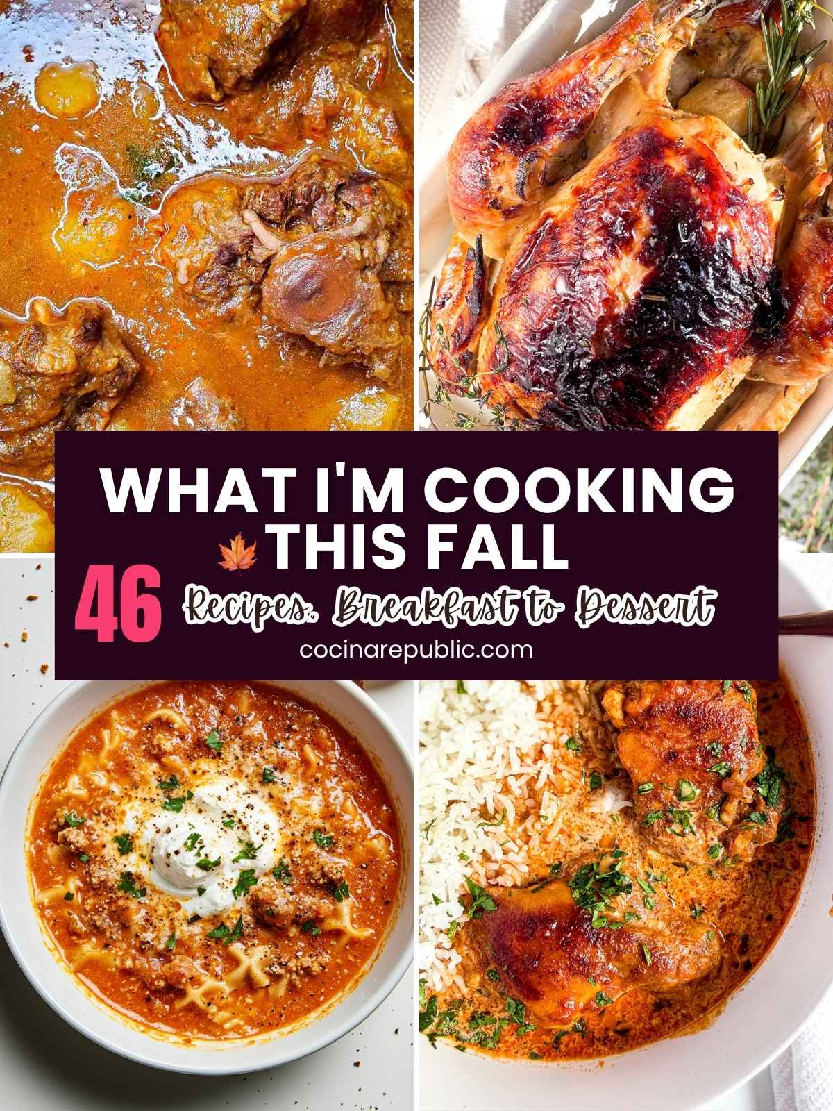 What I'm cooking this fall including pot roast chicken, oxtail stew with potatoes, and overhead view of lasagna soup, and a roasted apple cider chicken.